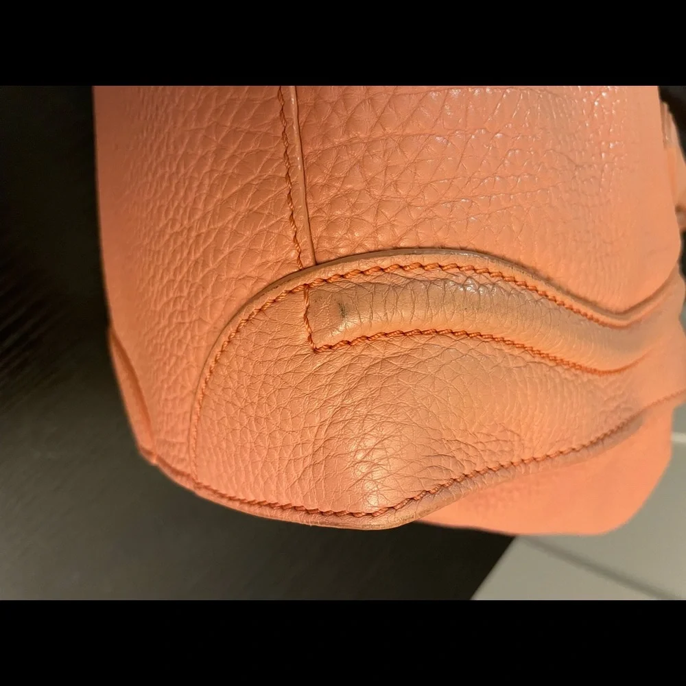 Celine Luggage Bag - Japan Exclusive - Picture 10 of 12